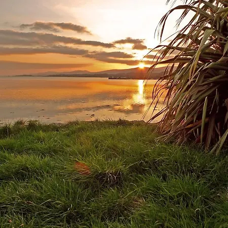 Albergue Neptune's Killarney