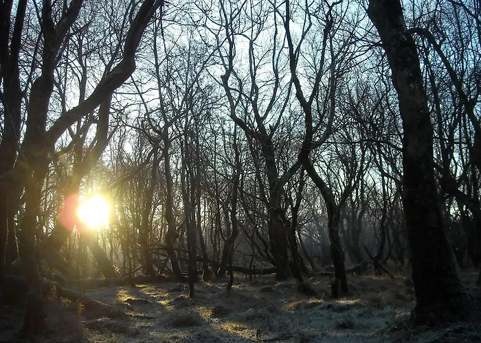 Auberge de jeunesse Neptune's